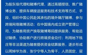 2025新澳门跟香港精准正版免費資料,详细解答、解释与落实-警惕虚假宣传-详细解答、解释与落实